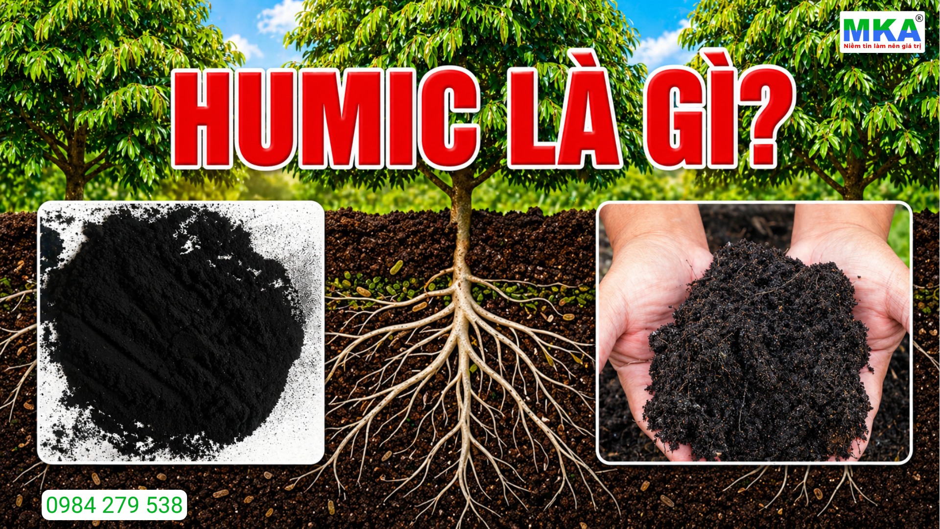 Humic là gì? phun humic qua lá được không?